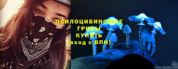 jwh Белокуриха