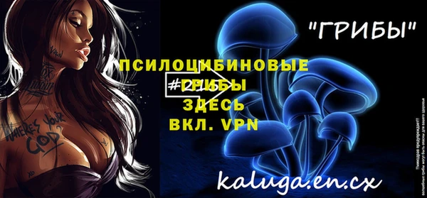 прущие крисы Балахна