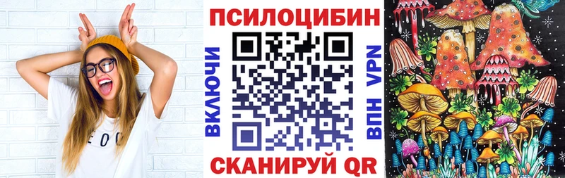 Купить  Магадан  Галлюциногенные грибы Cubensis 